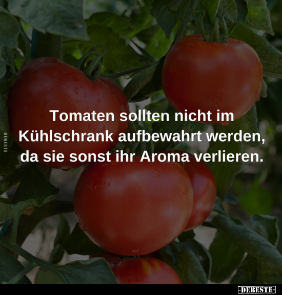 Tomaten sollten nicht im Kühlschrank aufbewahrt werden.. - Lustige Bilder | DEBESTE.de