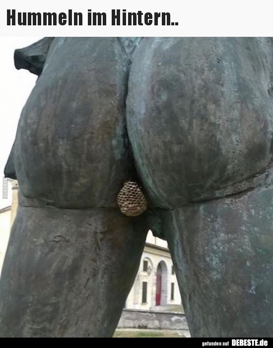 Hummeln im Hintern..