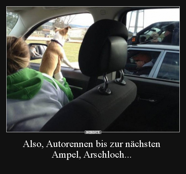 Also, Autorennen bis zur nächsten Ampel, Arschloch... - Lustige Bilder | DEBESTE.de