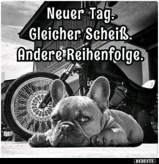 Neuer Tag