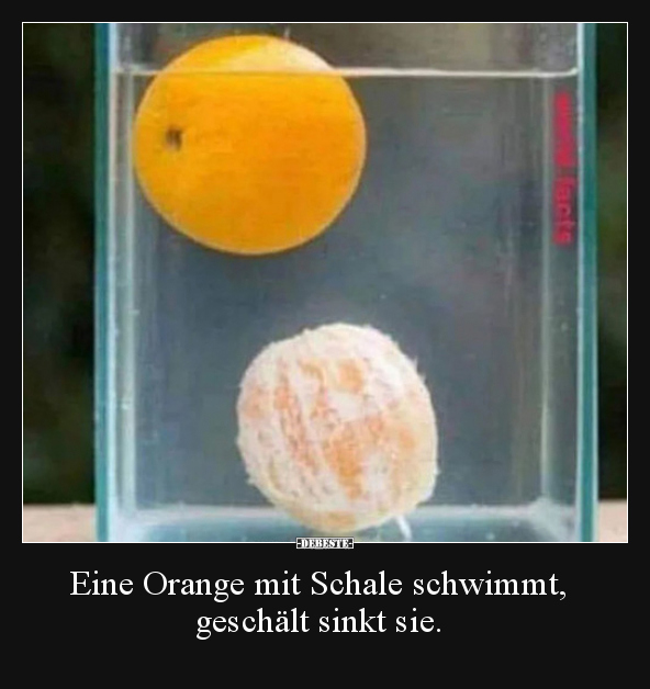 Eine Orange mit Schale schwimmt, geschält sinkt sie... - Lustige Bilder | DEBESTE.de