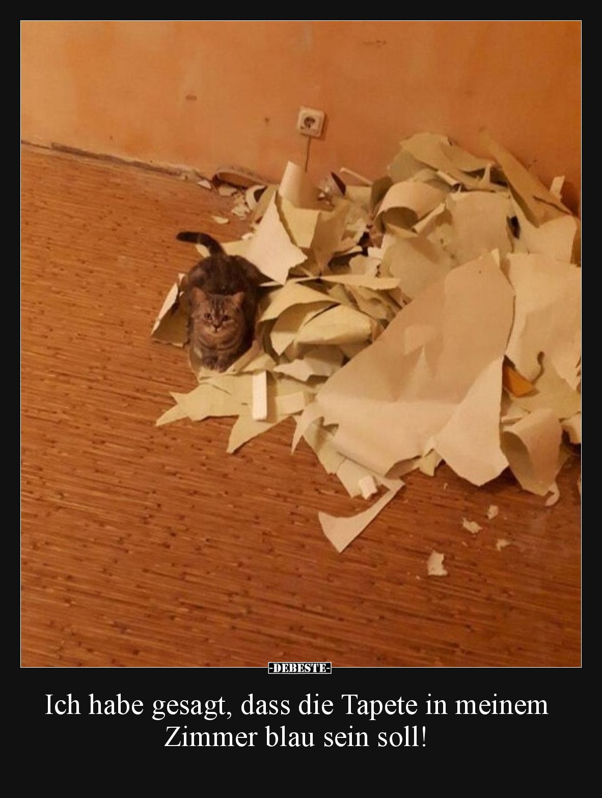 Ich habe gesagt, dass die Tapete in meinem Zimmer blau sein soll!