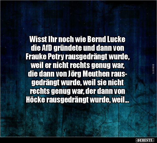 Wisst Ihr noch wie Bernd Lucke die AfD gründete.. - Lustige Bilder | DEBESTE.de
