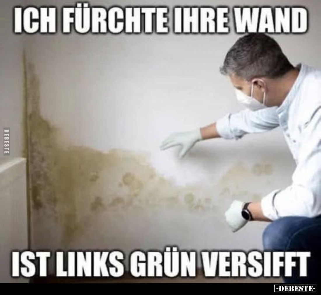 Ich fürchte ihre Wand ist links grün versifft