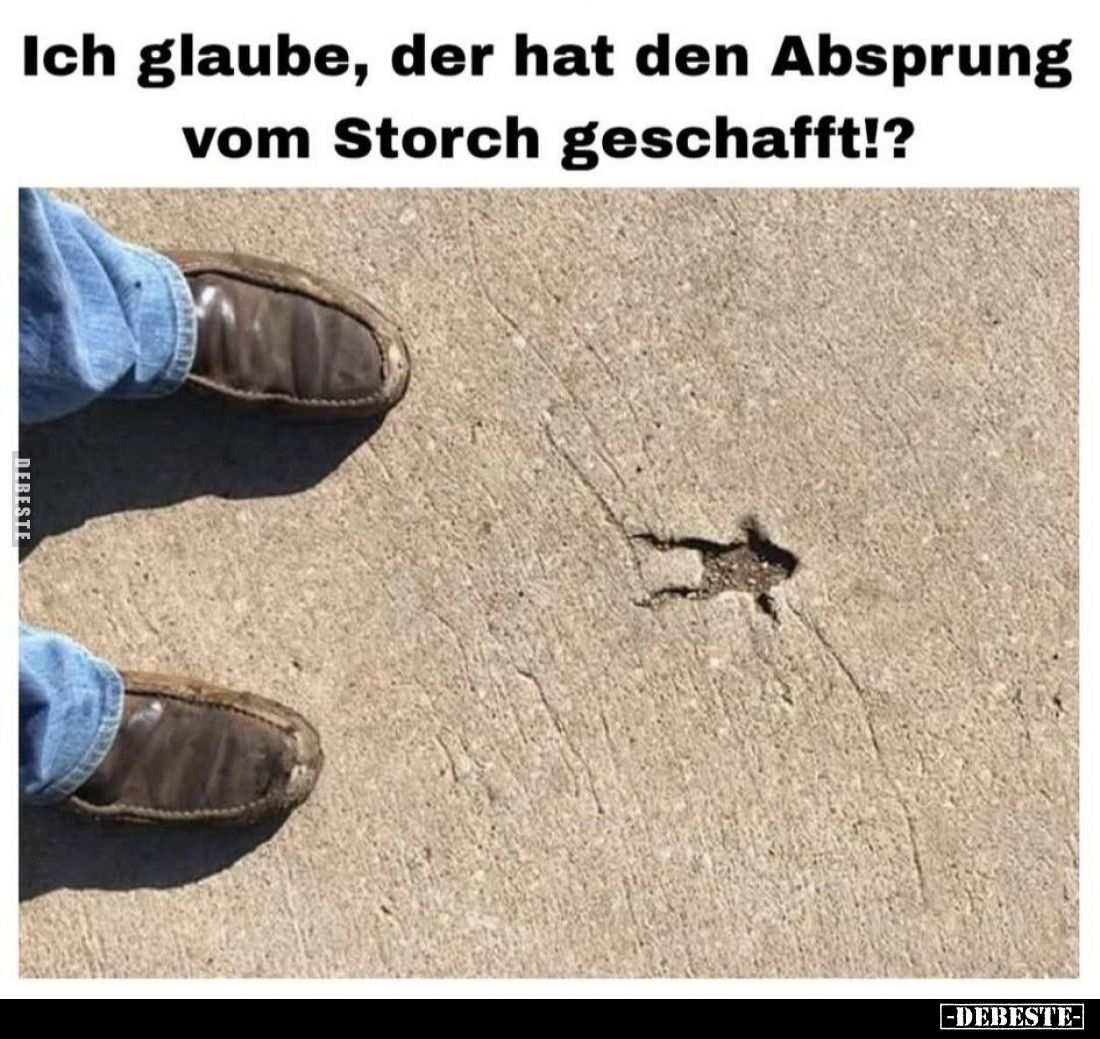 Ich glaube, der hat den Absprung vom Storch geschafft!?