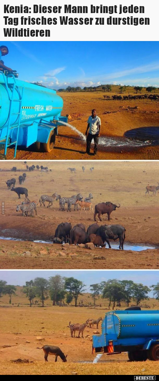 Kenia: Dieser Mann bringt jeden Tag frisches Wasser zu.. - Lustige Bilder | DEBESTE.de