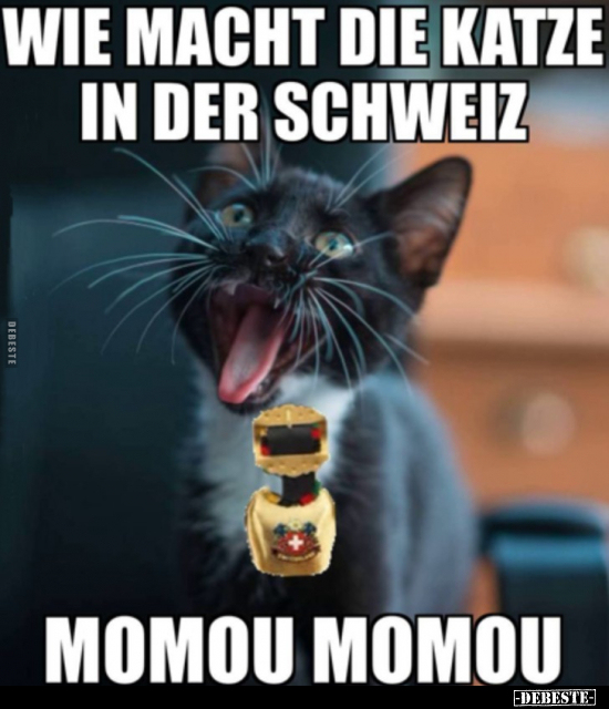 Wie macht die Katze in der Schweiz?.. - Lustige Bilder | DEBESTE.de
