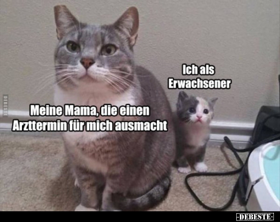Meine Mama, die einen Arzttermin für mich ausmacht.. - Lustige Bilder | DEBESTE.de