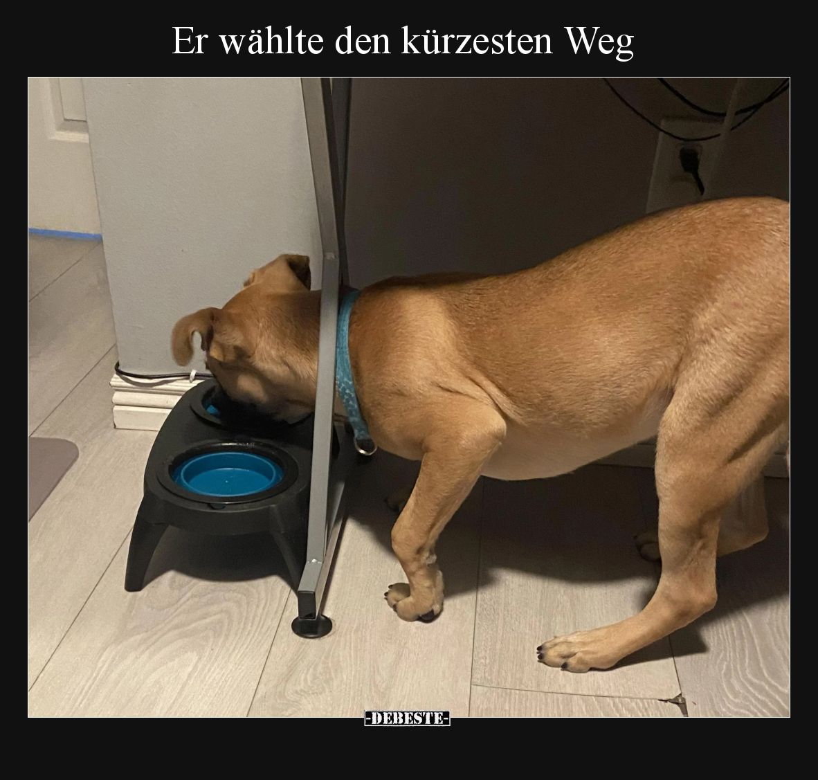 Er wählte den kürzesten Weg