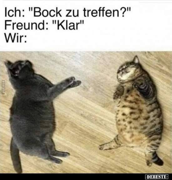 Ich: "Bock zu treffen?"..