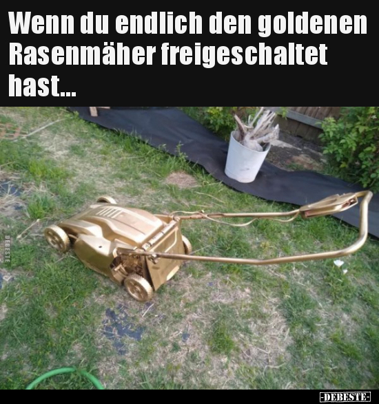 Wenn du endlich den goldenen Rasenmäher freigeschaltet.. - Lustige Bilder | DEBESTE.de
