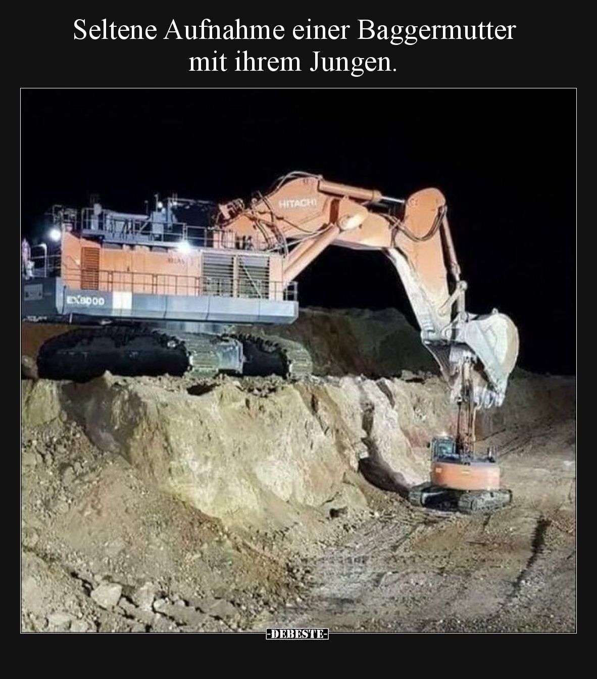 Seltene Aufnahme einer Baggermutter mit ihrem Jungen.
