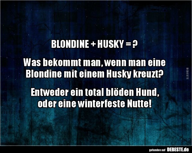 BLONDINE + HUSKY = ? - Lustige Bilder | DEBESTE.de