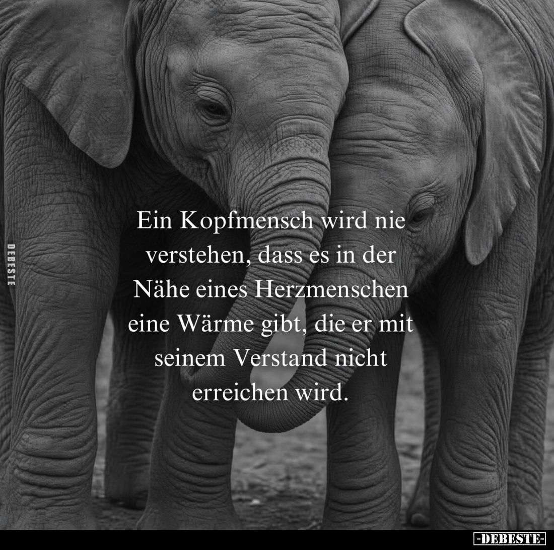 Ein Kopfmensch wird nie
verstehen, dass es in der
Nähe eines Herzmenschen
eine Wärme gibt, die er mit
seinem Verstand nic...