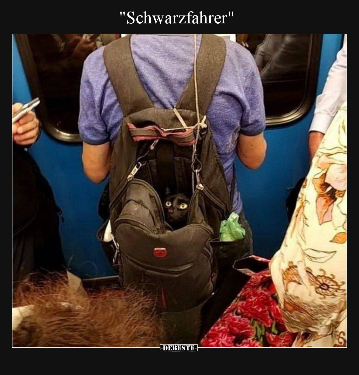 "Schwarzfahrer"