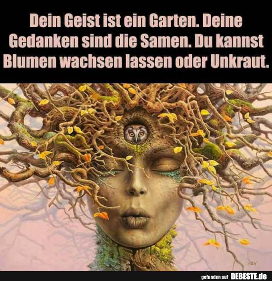 Dein Geist ist ein Garten.. | Lustige Bilder, Sprüche ...