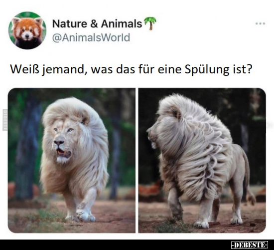 Weiß jemand, was das für eine Spülung ist?..