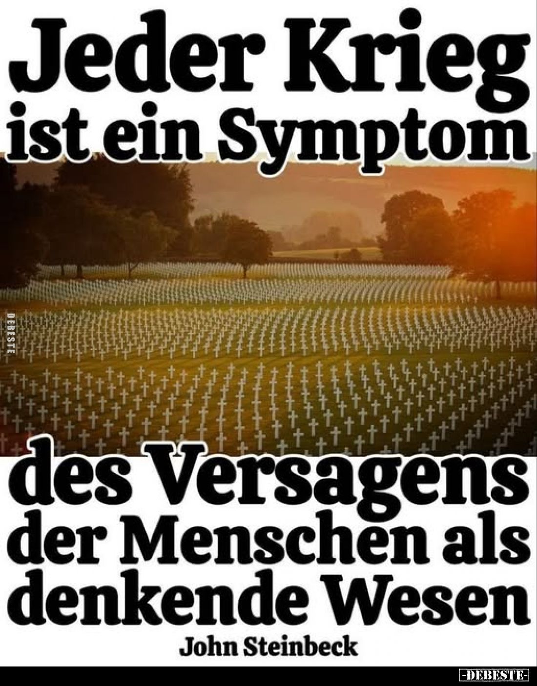 Jeder Krieg ist ein Symptom
des Versagens der Menschen als denkende Wesen
John Steinbeck