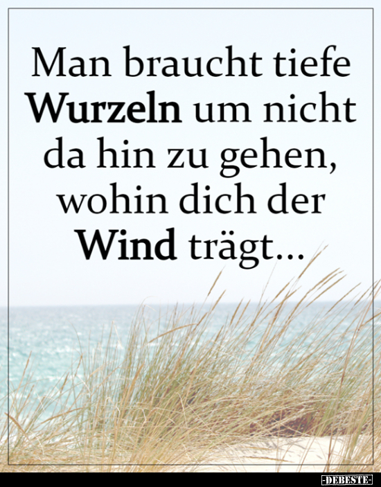 Man braucht tiefe Wurzeln um nicht da hin zu gehen..