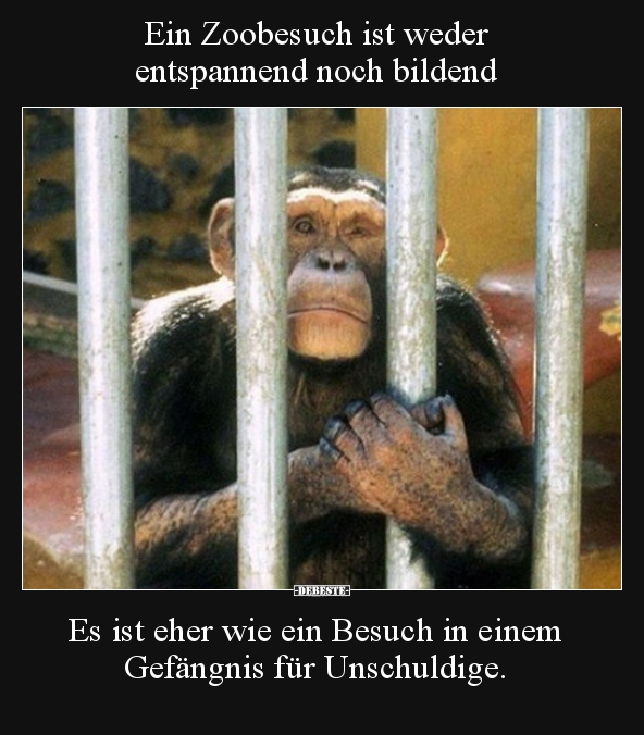 Ein Zoobesuch ist weder entspannend noch bildend.. - Lustige Bilder | DEBESTE.de