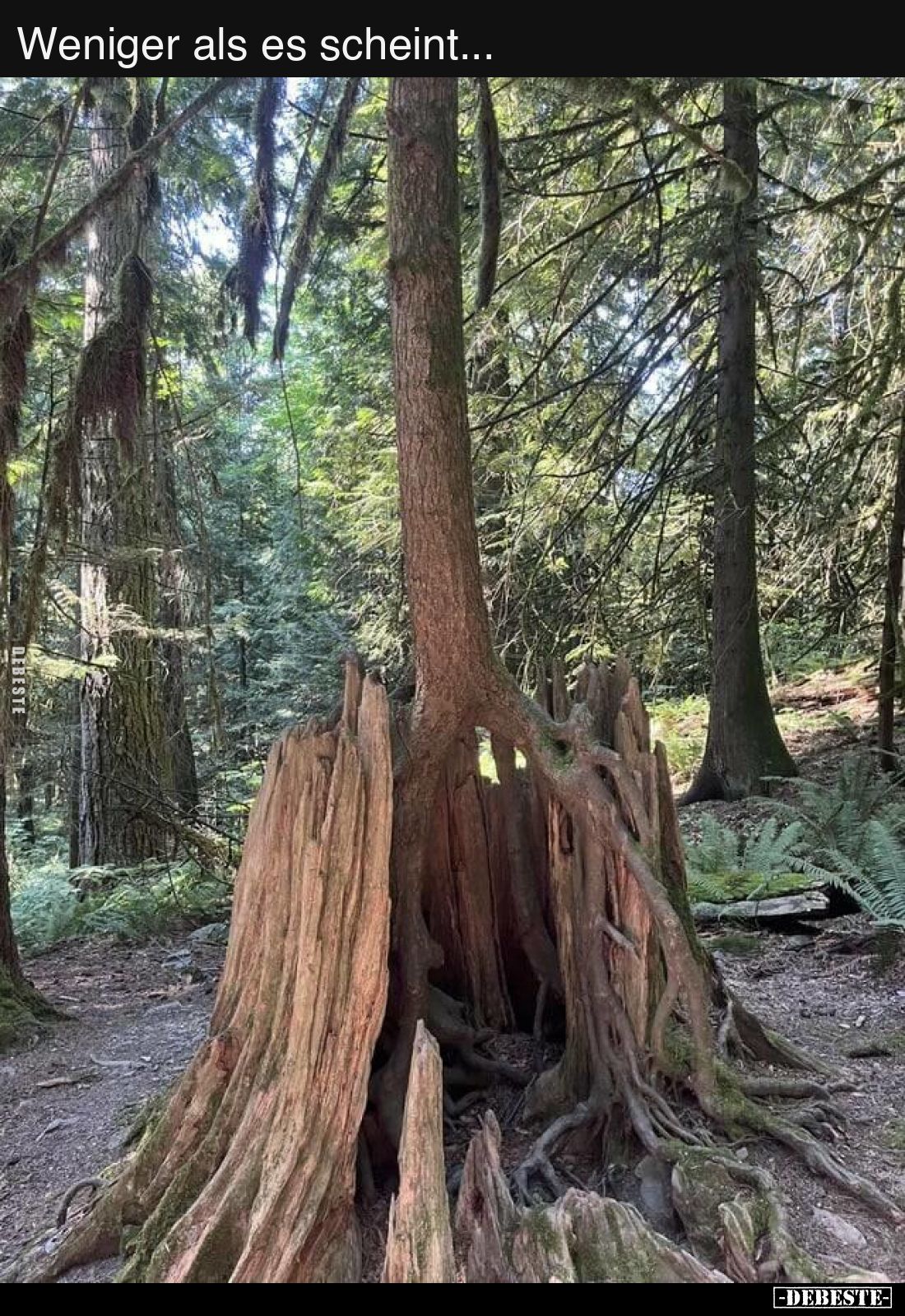 Weniger als es scheint...