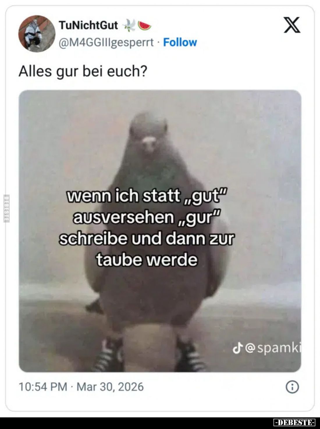 Alles gur bei euch?.. - Lustige Bilder | DEBESTE.de