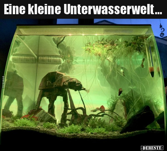 Eine kleine Unterwasserwelt... - Lustige Bilder | DEBESTE.de