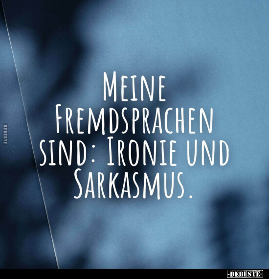 Meine Fremdsprachen sind: Ironie und Sarkasmus... - Lustige Bilder | DEBESTE.de