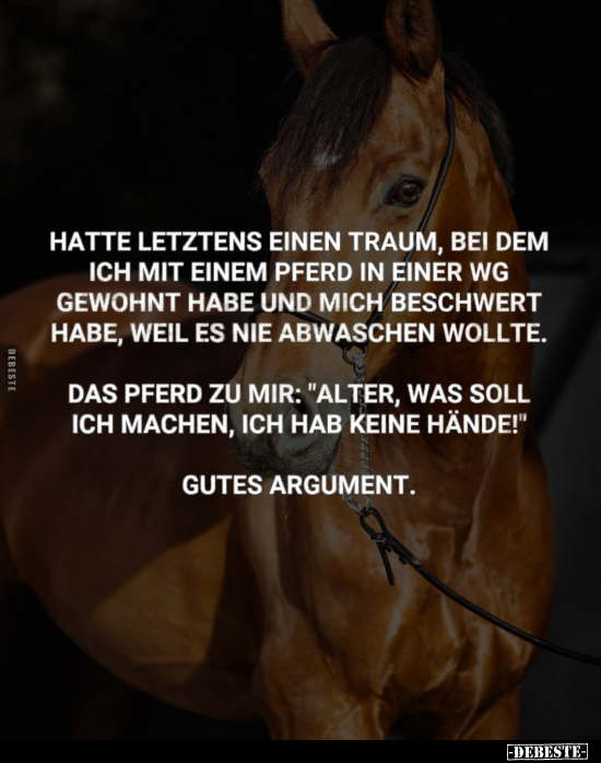 Hatte letztens einen Traum.. - Lustige Bilder | DEBESTE.de