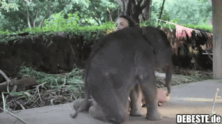  - Lustige Bilder | DEBESTE.de