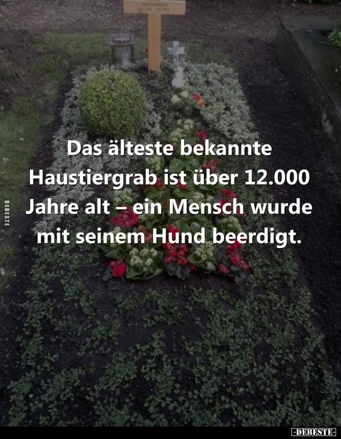 Das älteste bekannte Haustiergrab ist über 12.000 Jahre alt - ein Mensch wurde mit seinem Hund beerdigt.