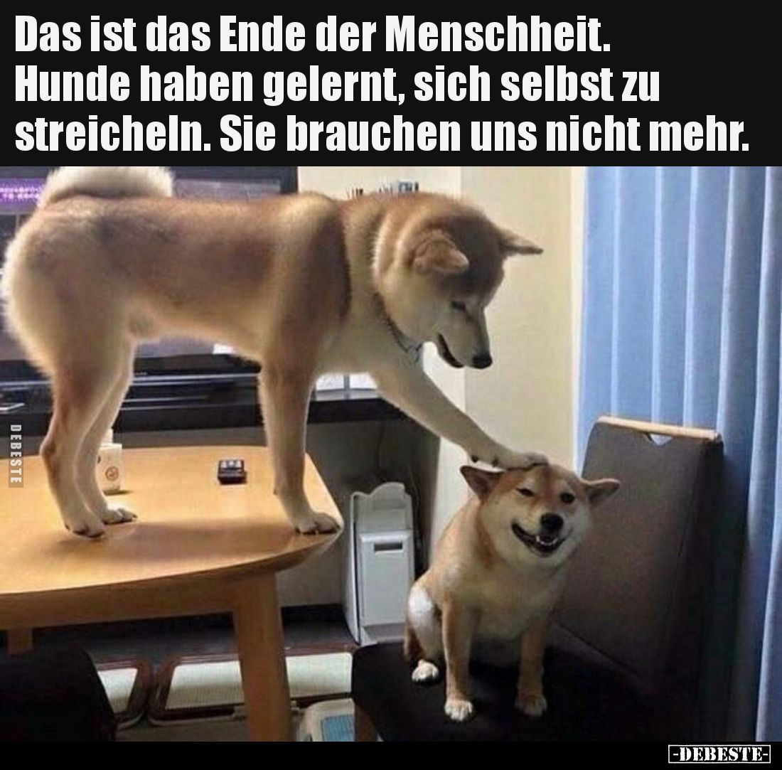 Das ist das Ende der Menschheit. Hunde haben gelernt, sich selbst zu streicheln. Sie brauchen uns nicht mehr.