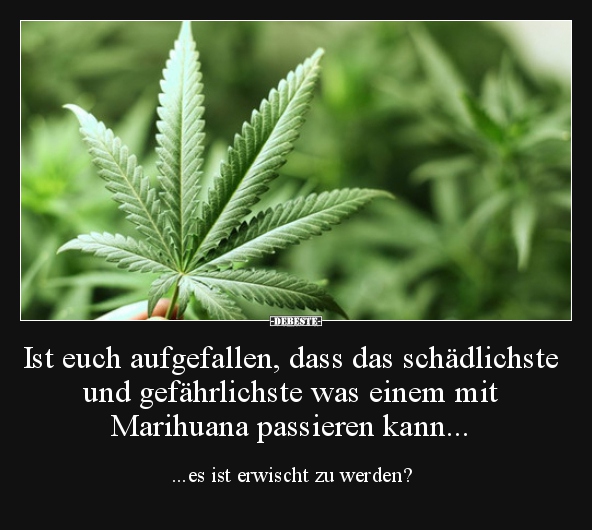 Ist euch aufgefallen, dass das schädlichste und..