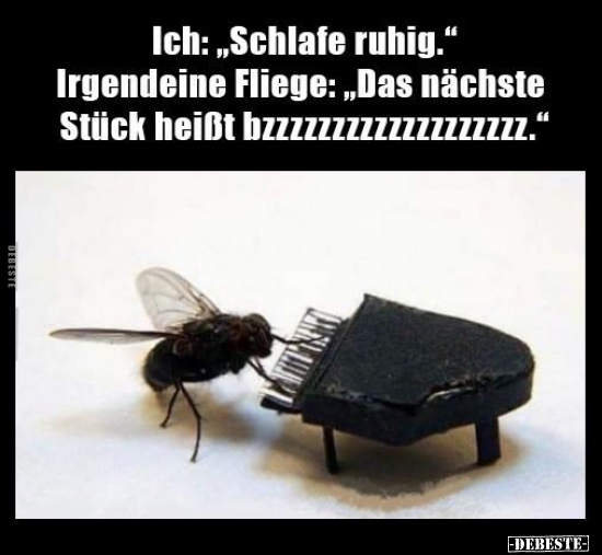 Ich: "Schlafe ruhig..." - Lustige Bilder | DEBESTE.de