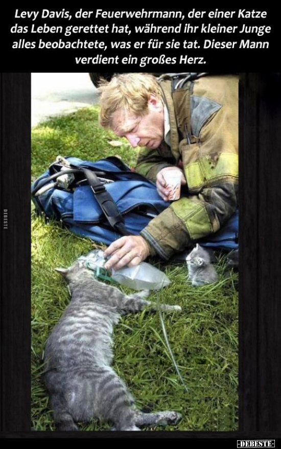 Levy Davis, der Feuerwehrmann, der einer Katze das Leben.. - Lustige Bilder | DEBESTE.de