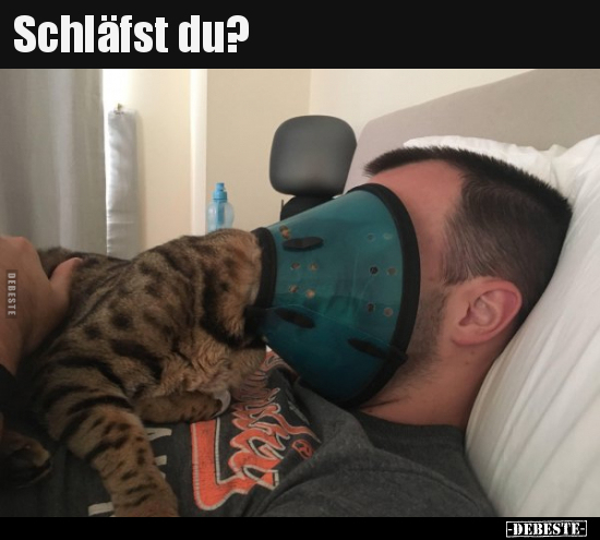 Schläfst du?..