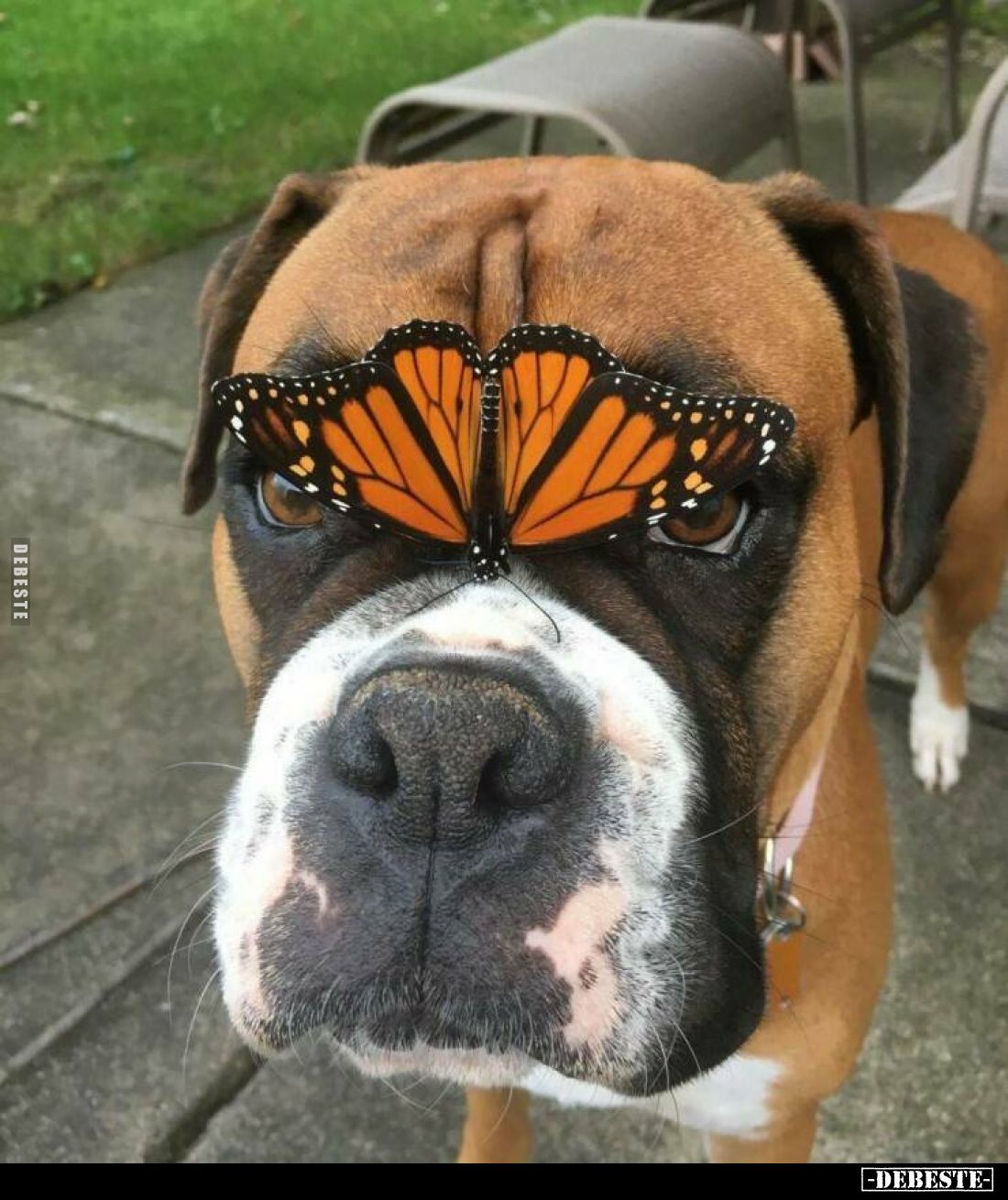  - Lustige Bilder | DEBESTE.de