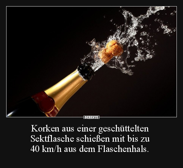 Korken aus einer geschüttelten Sektflasche.. - Lustige Bilder | DEBESTE.de