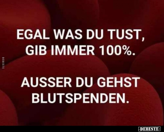 Egal was du tust, gib immer 100%!..