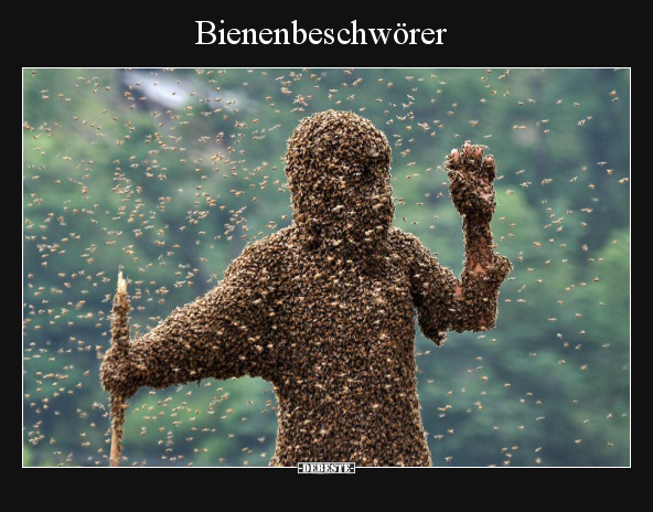 Bienenbeschwörer.. - Lustige Bilder | DEBESTE.de