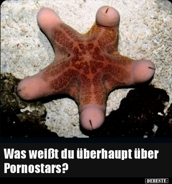 Was weißt du überhaupt über P*ornostars?.. - Lustige Bilder | DEBESTE.de