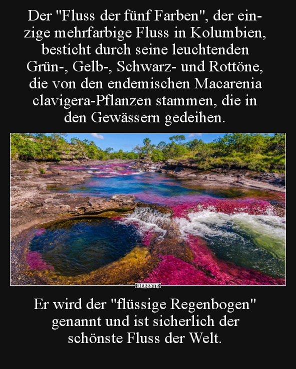 Der "Fluss der fünf Farben", der einzige mehrfarbige Fluss.. - Lustige Bilder | DEBESTE.de