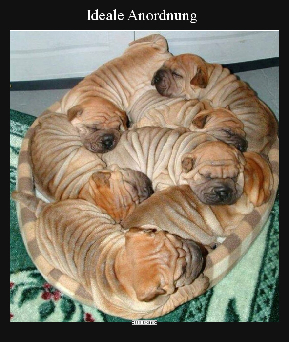 Ideale Anordnung