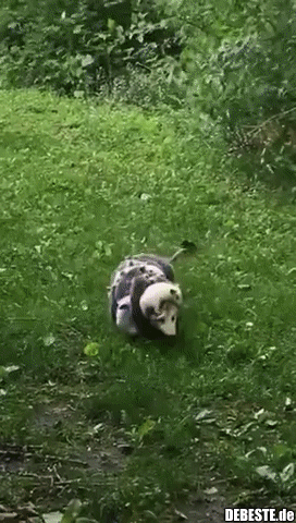 Das harte Leben einer Mutter..