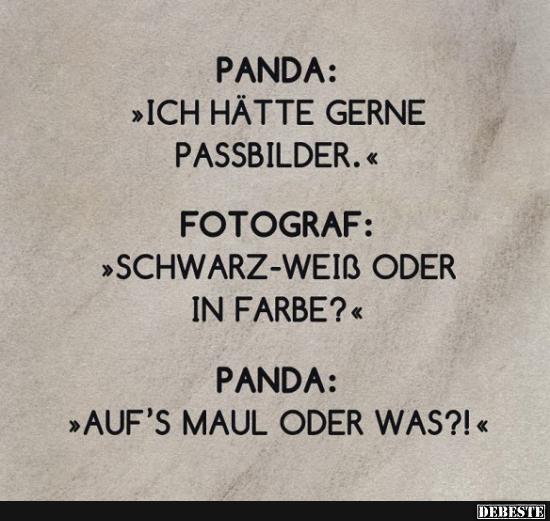 Panda: 'Ich hätte gerne Passbilder.' - Lustige Bilder | DEBESTE.de