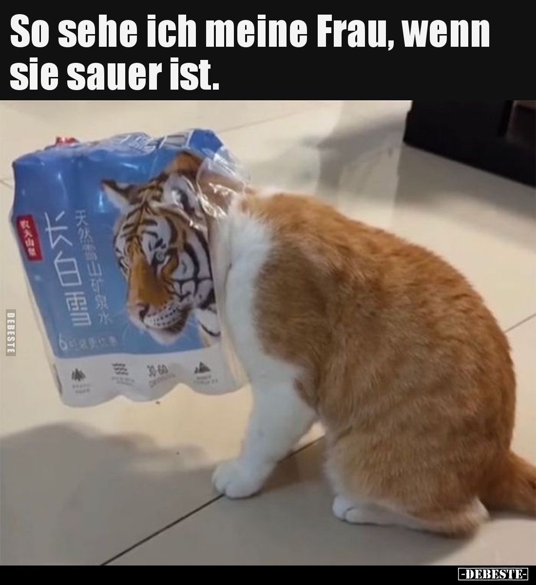 So sehe ich meine Frau, wenn sie sauer ist.