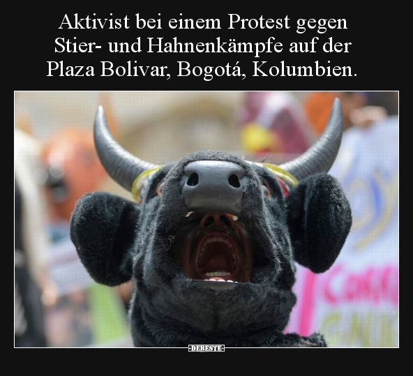 Aktivist bei einem Protest gegen Stier- und Hahnenkämpfe.. - Lustige Bilder | DEBESTE.de