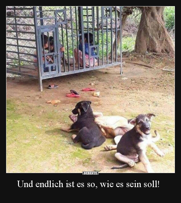 Und endlich ist es so, wie es sein soll!.. - Lustige Bilder | DEBESTE.de