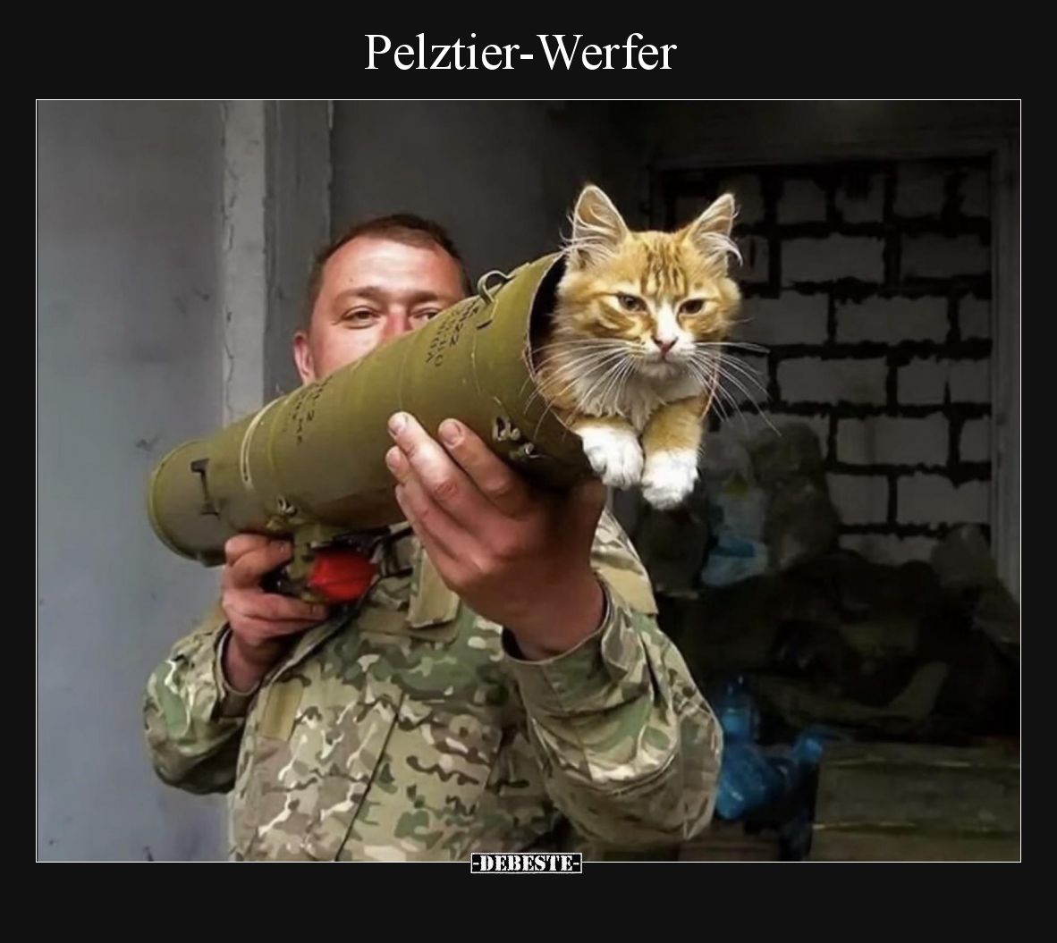 Pelztier-Werfer