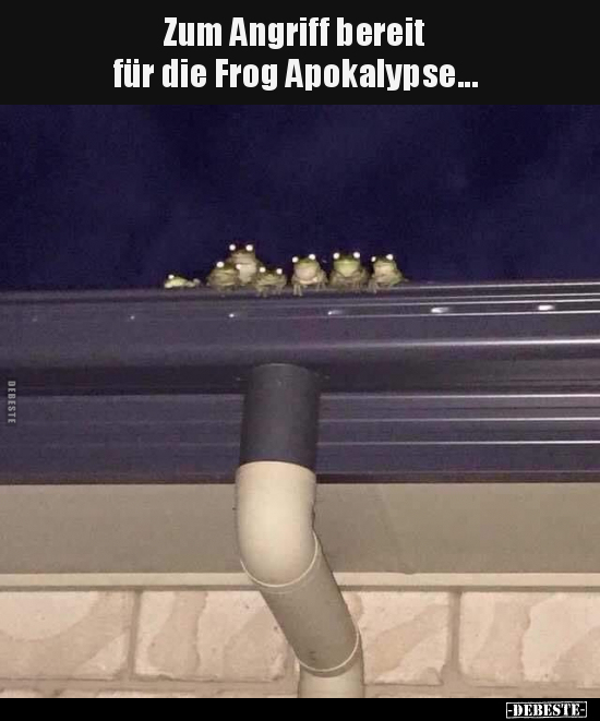 Zum Angriff bereit für die Frog Apokalypse... - Lustige Bilder | DEBESTE.de